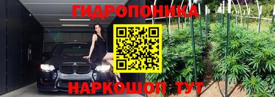 молекула духа Кулебаки