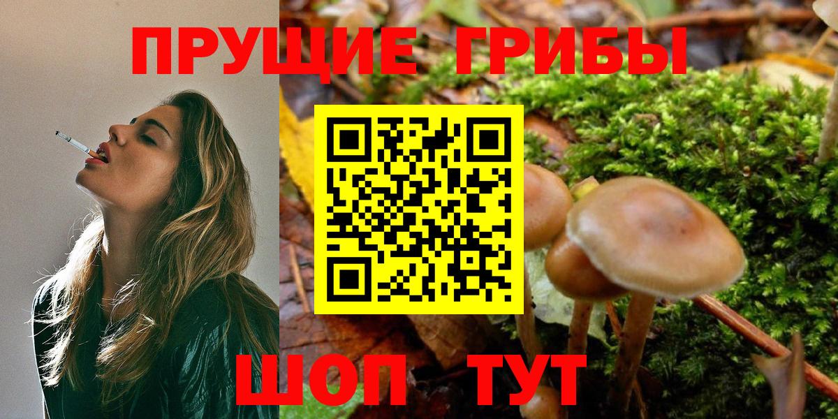 Чебаркуль  Галлюциногенные грибы мухоморы  Псилоцибиновые грибы Psilocybine cubensis  Вход с VPN 